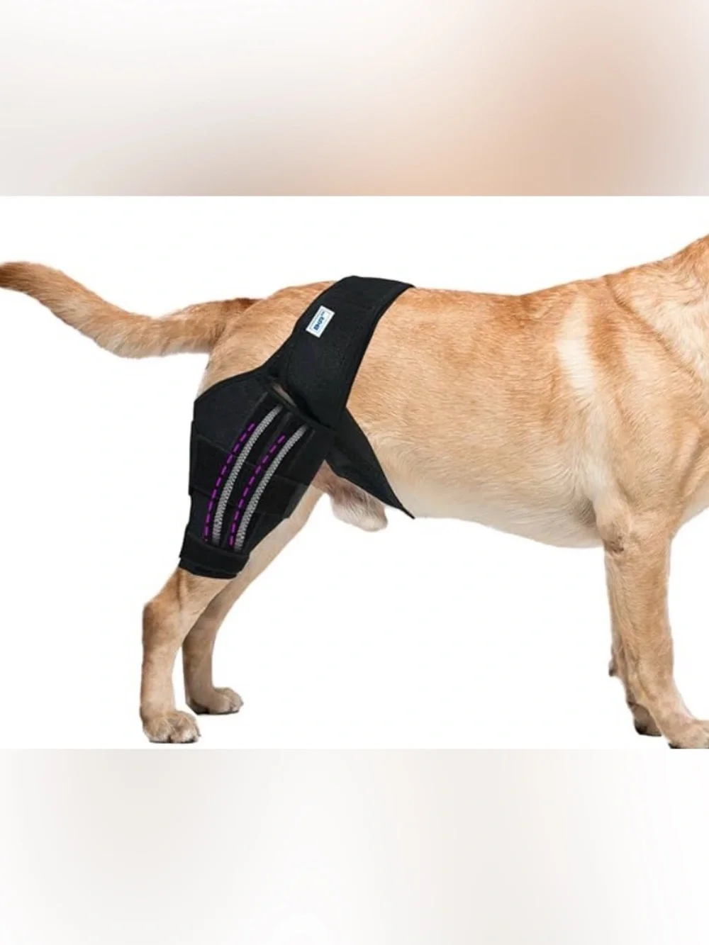 Support Dog Joint Brace for Mobility - Large